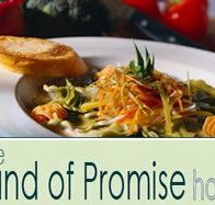 Land of Promise Hotel - Accommodation Port Hedland