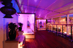 Circus Bar  Night Club - Accommodation Port Hedland