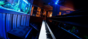 Saks Restaurant & Bar - Accommodation Port Hedland 2