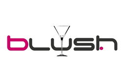 Blush Night Club - Accommodation Port Hedland 0