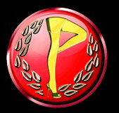 Players Showgirls - Accommodation Port Hedland