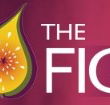 Pickled Fig - Accommodation Port Hedland