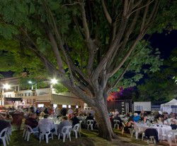 Premier Hotel - Accommodation Port Hedland 2