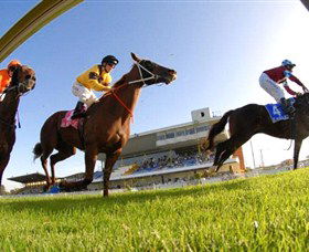 Wyong Race Club - Accommodation Port Hedland 0