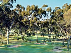 Tanunda Pines Golf Club - Accommodation Port Hedland 0
