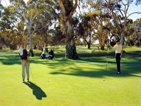 Tanunda Pines Golf Club - Accommodation Port Hedland 1