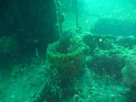 Wallaroo Scuba Club - Accommodation Port Hedland 0