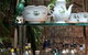 Gin Garden - thumb 2
