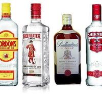 Mount Surprise Hotel - Accommodation Port Hedland