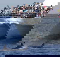MoonshadowTQC Cruises - Accommodation Port Hedland