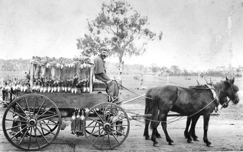 A Tale Of Two Villages - An Exhibition - Accommodation Port Hedland 1