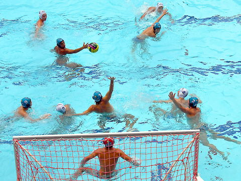 Australian Youth Water Polo Championships - Accommodation Port Hedland 0