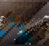 Baroque Horse Festival - Accommodation Port Hedland