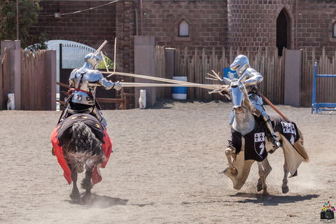 Baroque Horse Festival - Accommodation Port Hedland 2