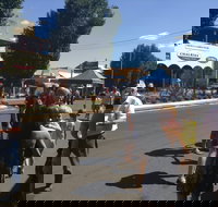 Bunny Bazaar - Accommodation Port Hedland