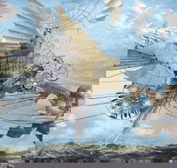 Dreams of Air and Flight - Accommodation Port Hedland