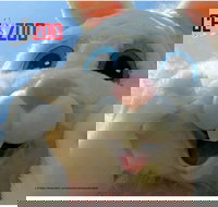 Easter Egg-stravaganza - Accommodation Port Hedland