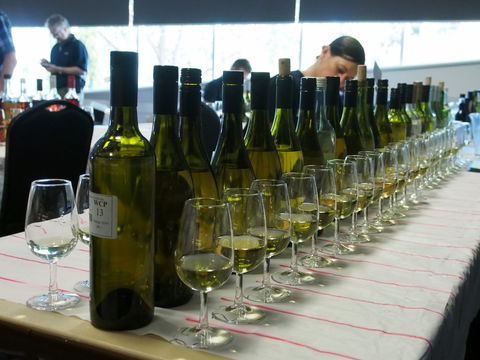 Eltham And District Wine Guild Annual Wine Show - 51st Annual Show - Accommodation Port Hedland 1