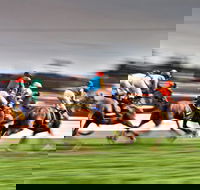 Grafton July Racing Carnival - Accommodation Port Hedland