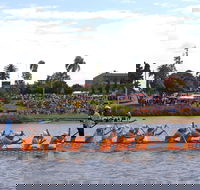 Jacaranda Dragon Boat Races - Accommodation Port Hedland