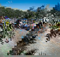 JetBlack Wild Wombat MTB Challenge - Accommodation Port Hedland