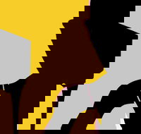 Naked Classics Fantastic Symphonies - Accommodation Port Hedland