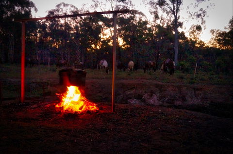 Night Horse Ride And Dinner - Accommodation Port Hedland 2