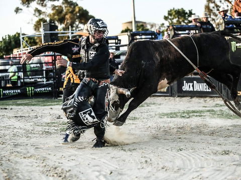PBR Hawkesbury Stampede - Accommodation Port Hedland 2