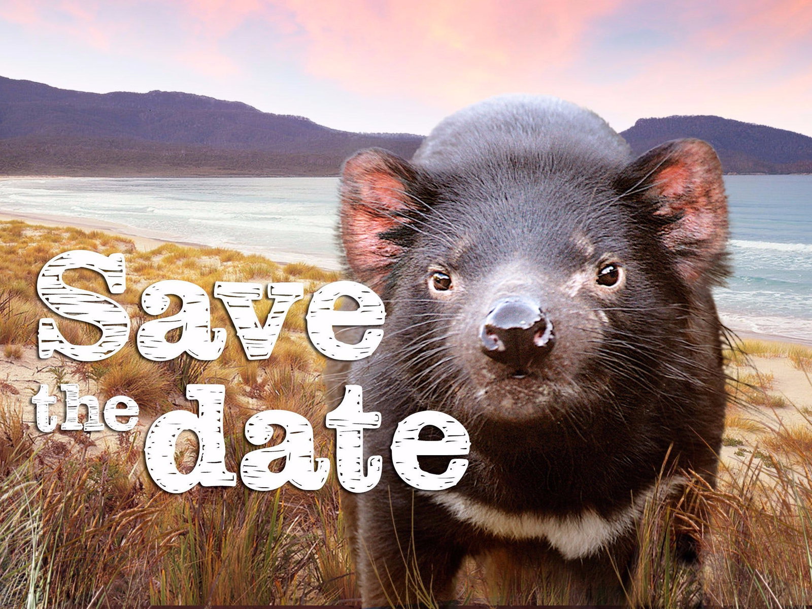 Accommodation Port Hedland