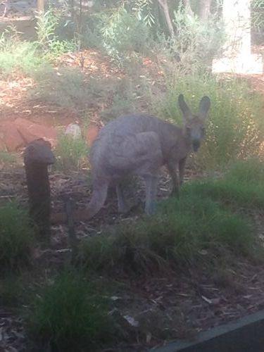 Queensland Winter Craft Festival - Accommodation Port Hedland 4