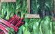 Albury Wodonga Farmers Market - thumb 0