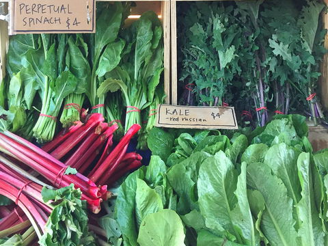 Albury Wodonga Farmers Market - Accommodation Port Hedland 0