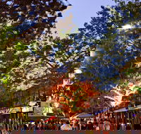 Alice Springs Town Council Night Markets - Accommodation Port Hedland