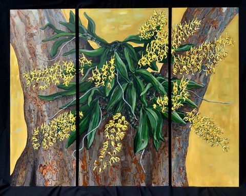 A Still Life - Solo Exhibition  Karen Sedaitis - Accommodation Port Hedland 1
