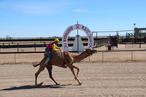 Bedourie Camel And Pig Races And Camp Oven Cook-off - Accommodation Port Hedland 0