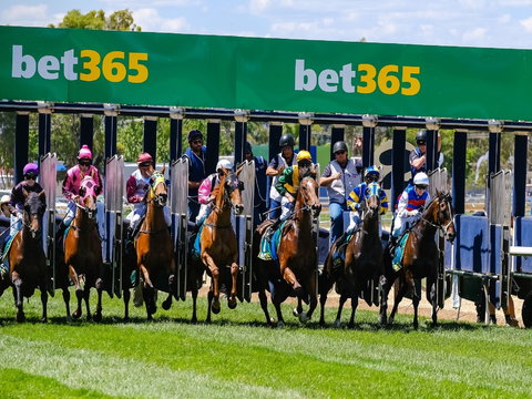 Bet 365 Caulfield Cup Day At Wodonga Race Course - Accommodation Port Hedland 1