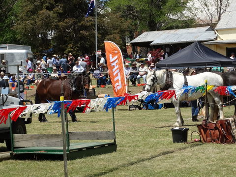 Carcoar Show - Accommodation Port Hedland 0