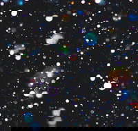 Eclectic by Murray Conservatorium - Accommodation Port Hedland