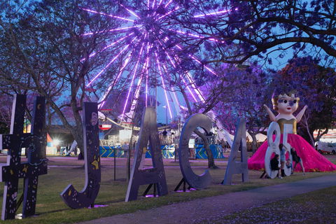 Grafton Jacaranda Festival - Accommodation Port Hedland 0