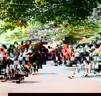 Hahndorf Christkindlmarkt - Accommodation Port Hedland