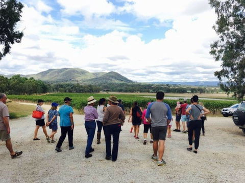Mudgee Farm Walks - Accommodation Port Hedland 1