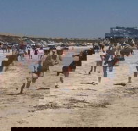 Perlubie Beach Sports Day - Accommodation Port Hedland