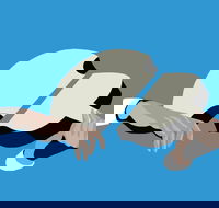 Petrenko's Shostakovich - Morning Symphony - Accommodation Port Hedland