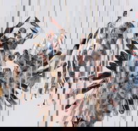 Pulse Perspectives - Accommodation Port Hedland