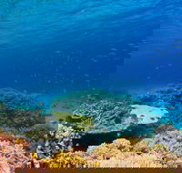 Recovery of the Great Barrier Reef - Accommodation Port Hedland