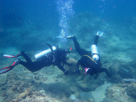 Recovery Of The Great Barrier Reef - Accommodation Port Hedland 1