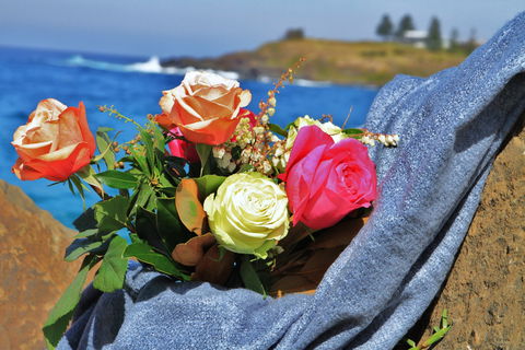 Roses By The Seaside: National Rose Championships And Conference - Accommodation Port Hedland 0