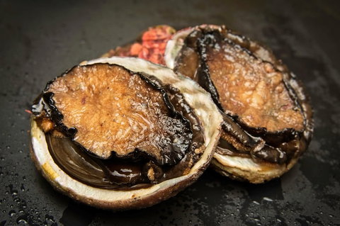 San Remo Fishing Festival - Accommodation Port Hedland 1