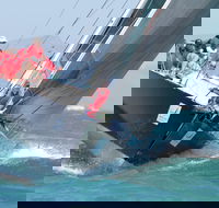 SeaLink Magnetic Island Race Week - Accommodation Port Hedland