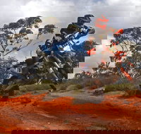 Sunraysia Safari Rally - Accommodation Port Hedland